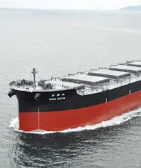 亞洲好望角型散貨船運價維穩(wěn)